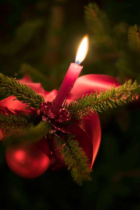 Advent in the Stubai Valley - Winter magic at the Gasteigerhof