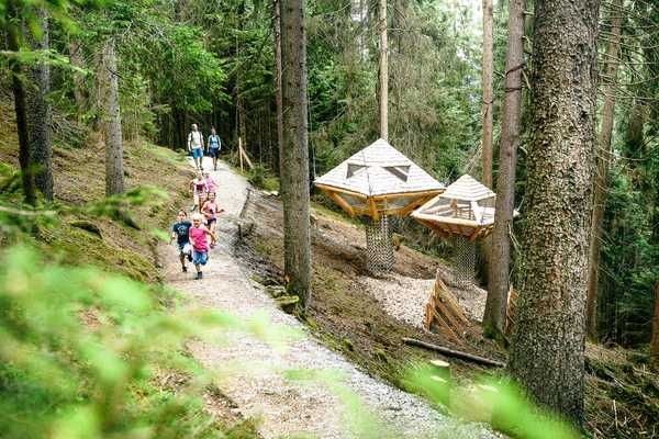 The children's paradise for young and old: tree house and disc path